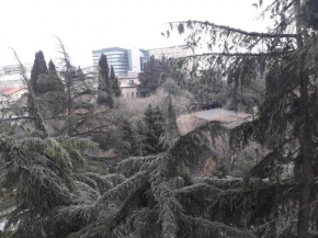 Mushthaid Apartments